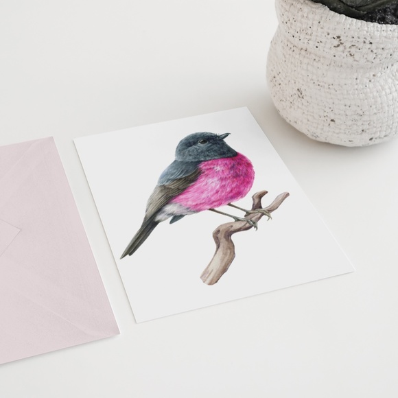 Pink Robin Bird Wall Art Watercolor Illustration Print Poster Card Unframed - Picture 7 of 7